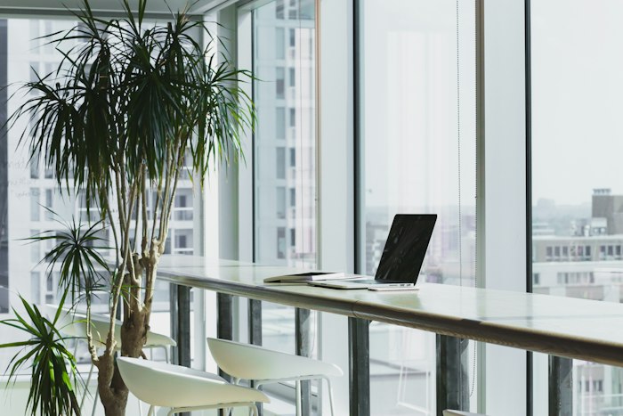 Workplace Wellbeing